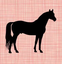Horse Vinyl Decal - Sparkling Cowgirl