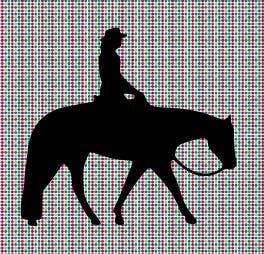 Pleasure Horse Vinyl Decal - Sparkling Cowgirl