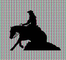 Reining Horse with Female Rider Vinyl Decal - Sparkling Cowgirl