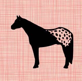 Appaloosa Horse Vinyl Decal - Sparkling Cowgirl