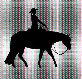 Western Pleasure Horse with Female Rider Vinyl Decal - Sparkling Cowgirl