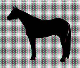 Quarter Horse Vinyl Decal - Sparkling Cowgirl