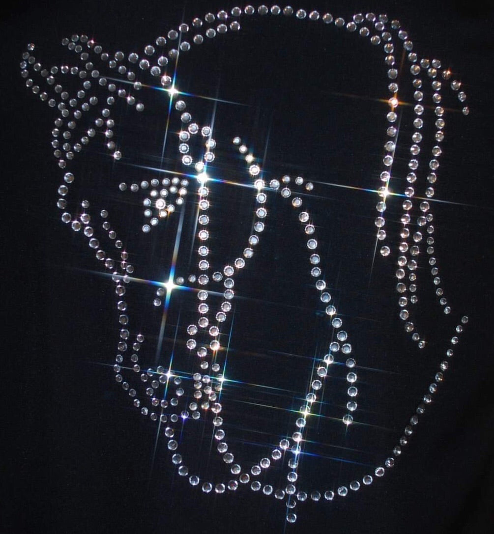 Western Arabian Horse Rhinestone Vest - Sparkling Cowgirl