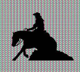 Reining Horse with Female Rider Vinyl Decal