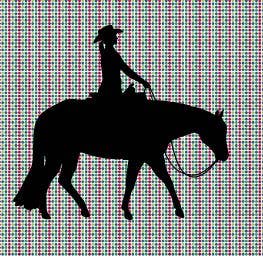 Western Pleasure Horse with Female Rider Vinyl Decal