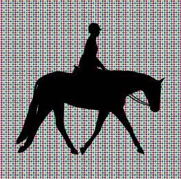 English Pleasure Horse with Female Rider Vinyl Decal