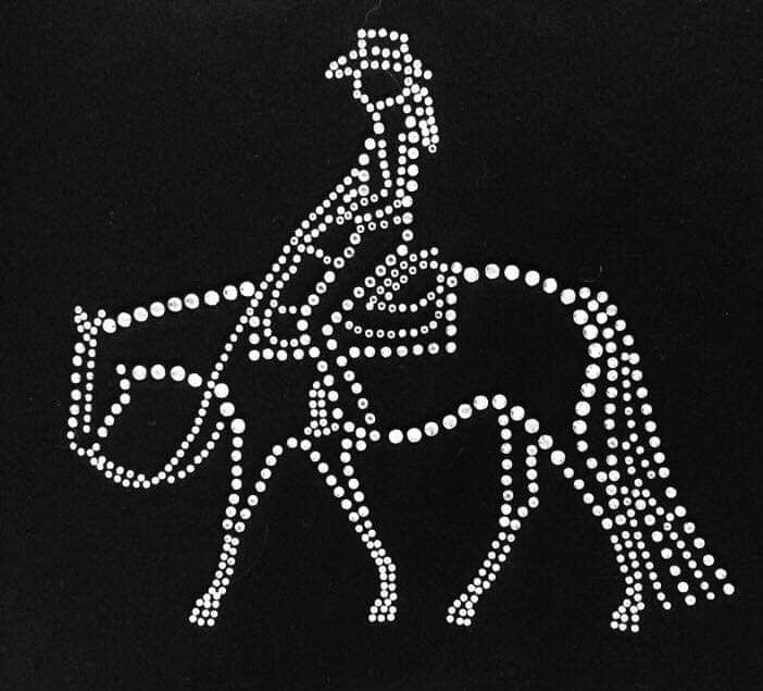 Western Pleasure Rider Rhinestone Jacket - Sparkling Cowgirl
