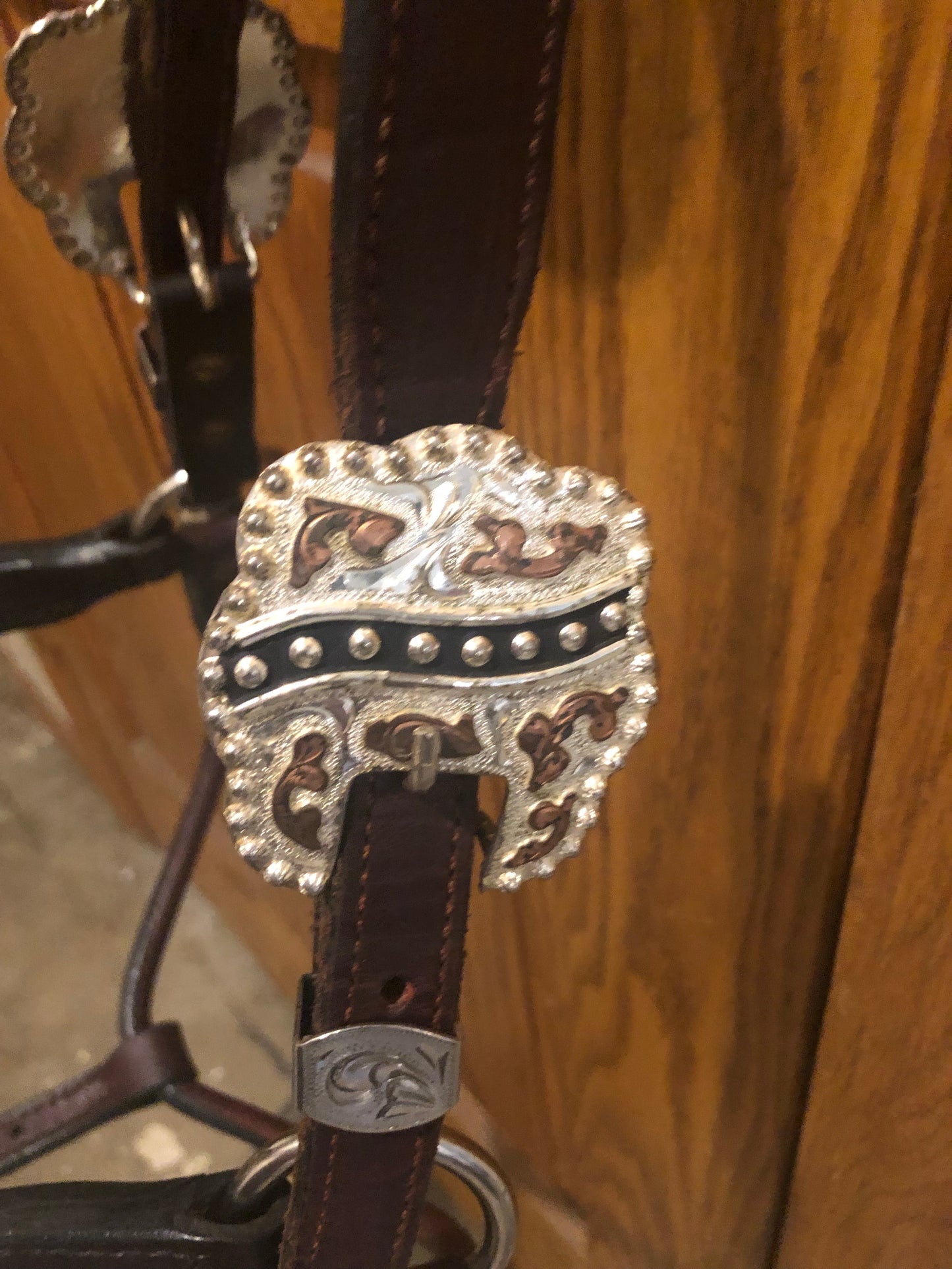 Used Dale Chavez Show Halter